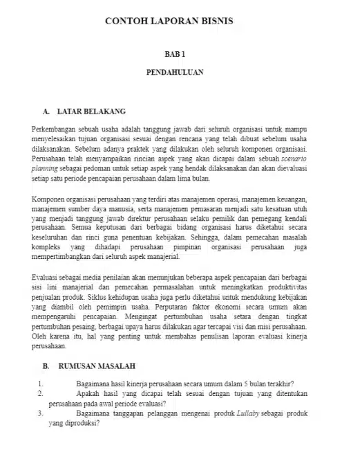 Contoh Laporan Bisnis Bagian 1